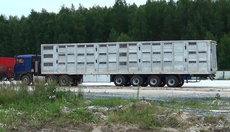 т19.jpg