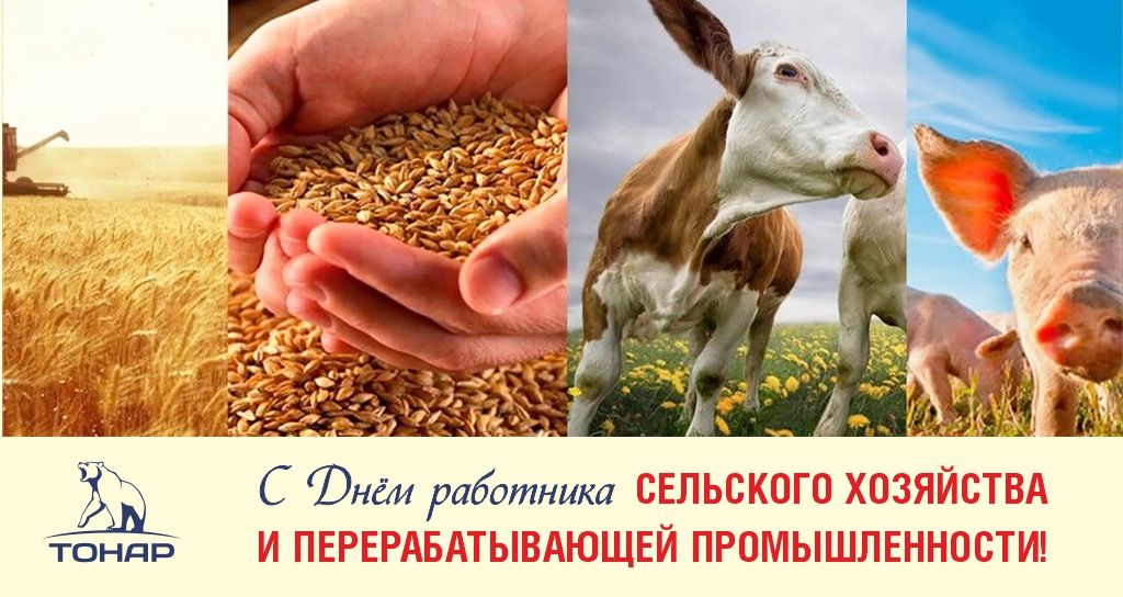 С Днём сельхозработника 2021.jpg С Днём сельхозработника 2021.jpg